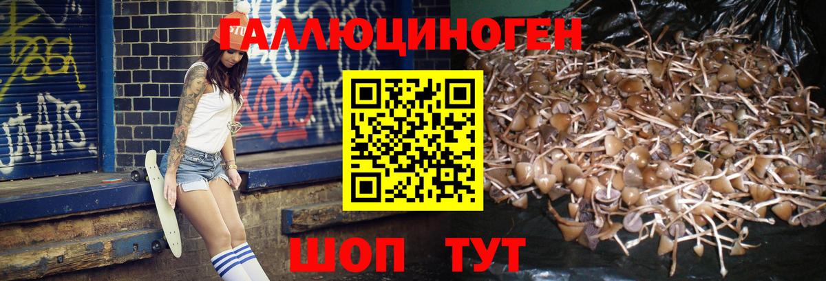 Псилоцибиновые грибы мухоморы  Вход с VPN  Галлюциногенные грибы мухоморы  Свободный 